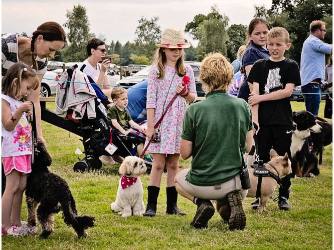 Fun Dog Show at the Farm -Tatton Park, Cheshire - 8th Sept 2024