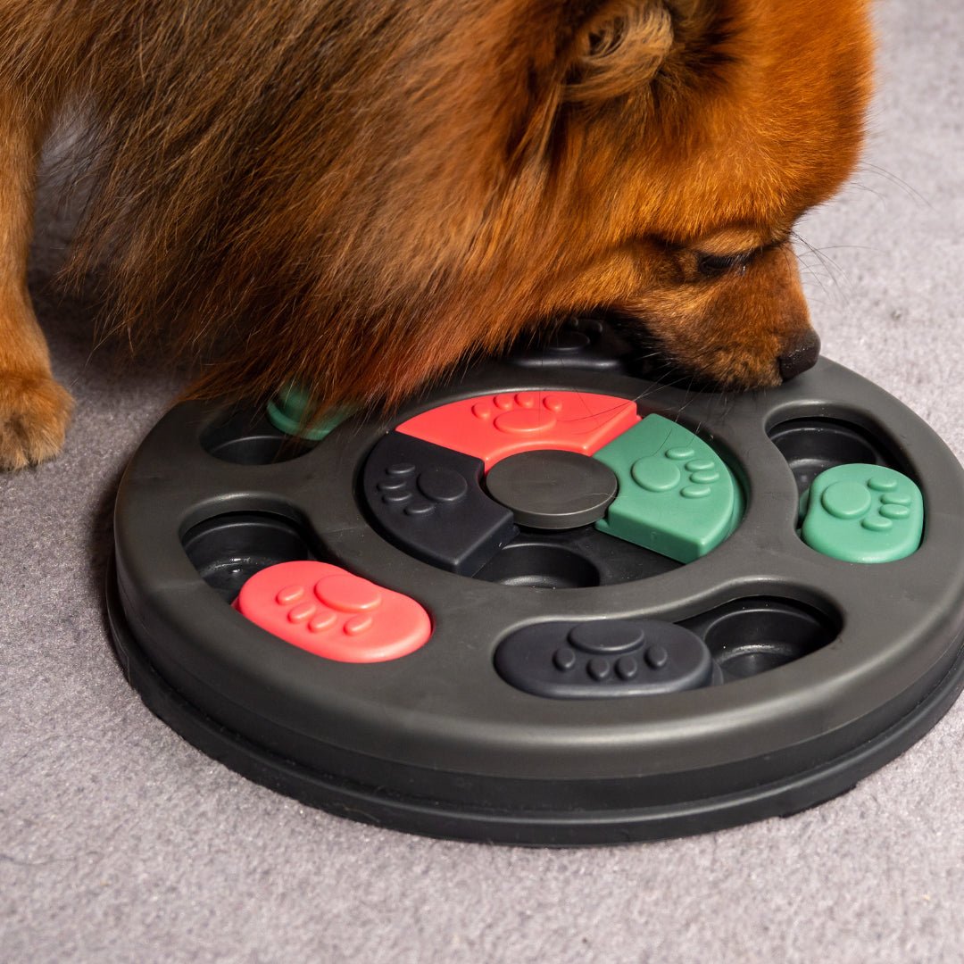 Mind Games for Dogs: Keeping Your Dog Happy and Sharp - Pawfecthome