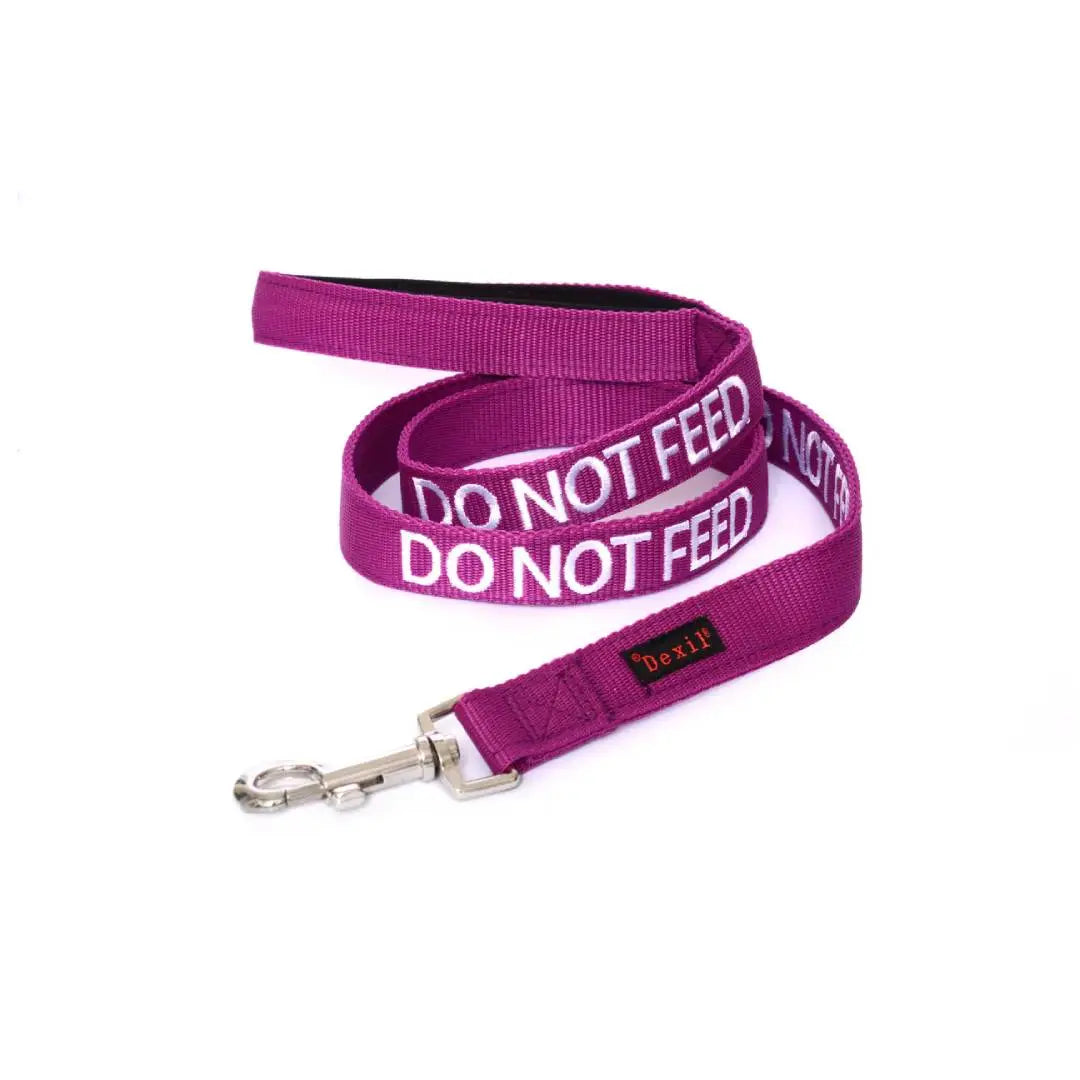 Safety dog lead