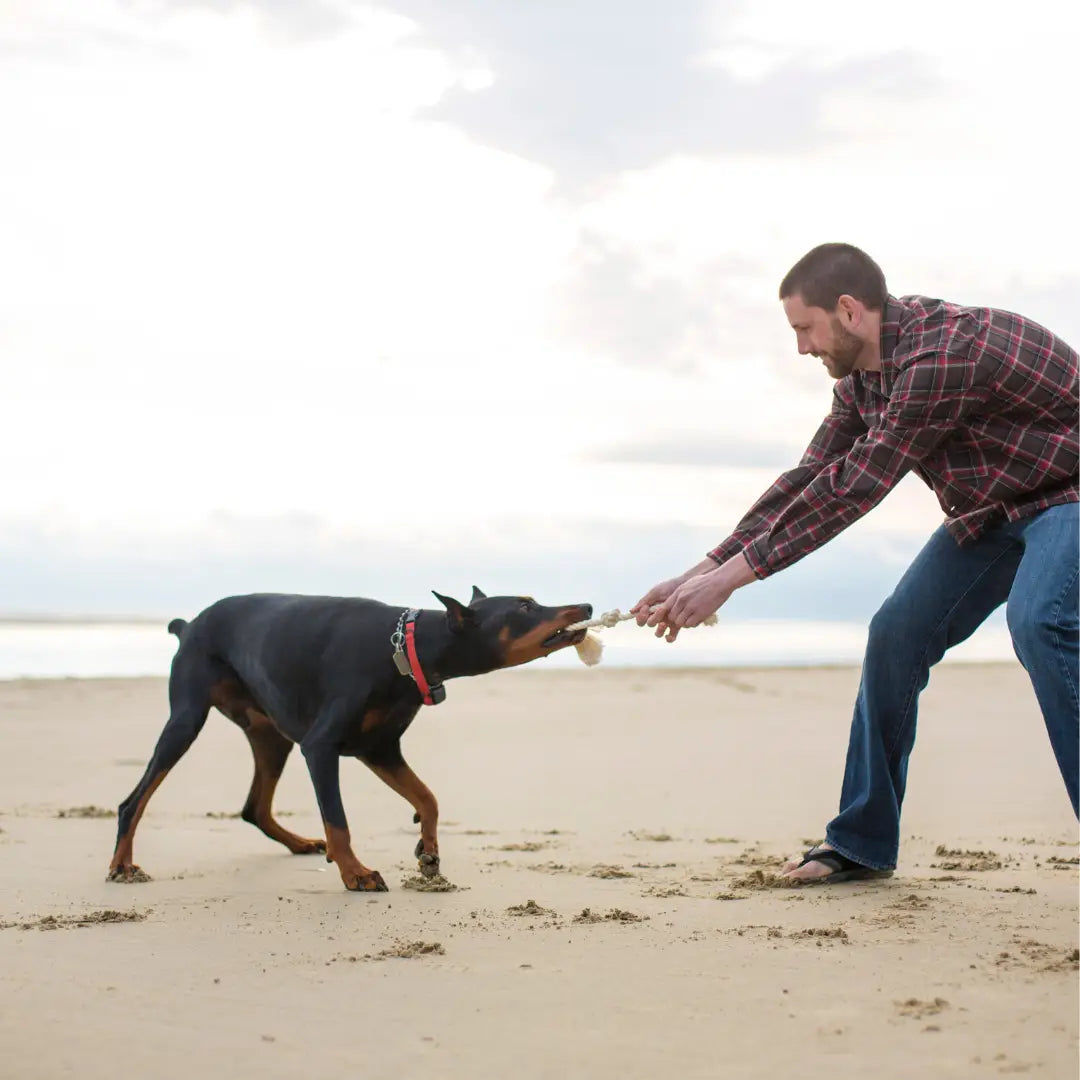 Dog Tug Toy