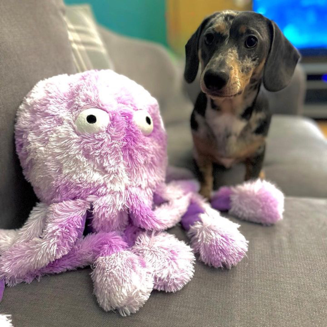 Gor Reef Plush Octopus Daddy Dog Toy Pawfecthome