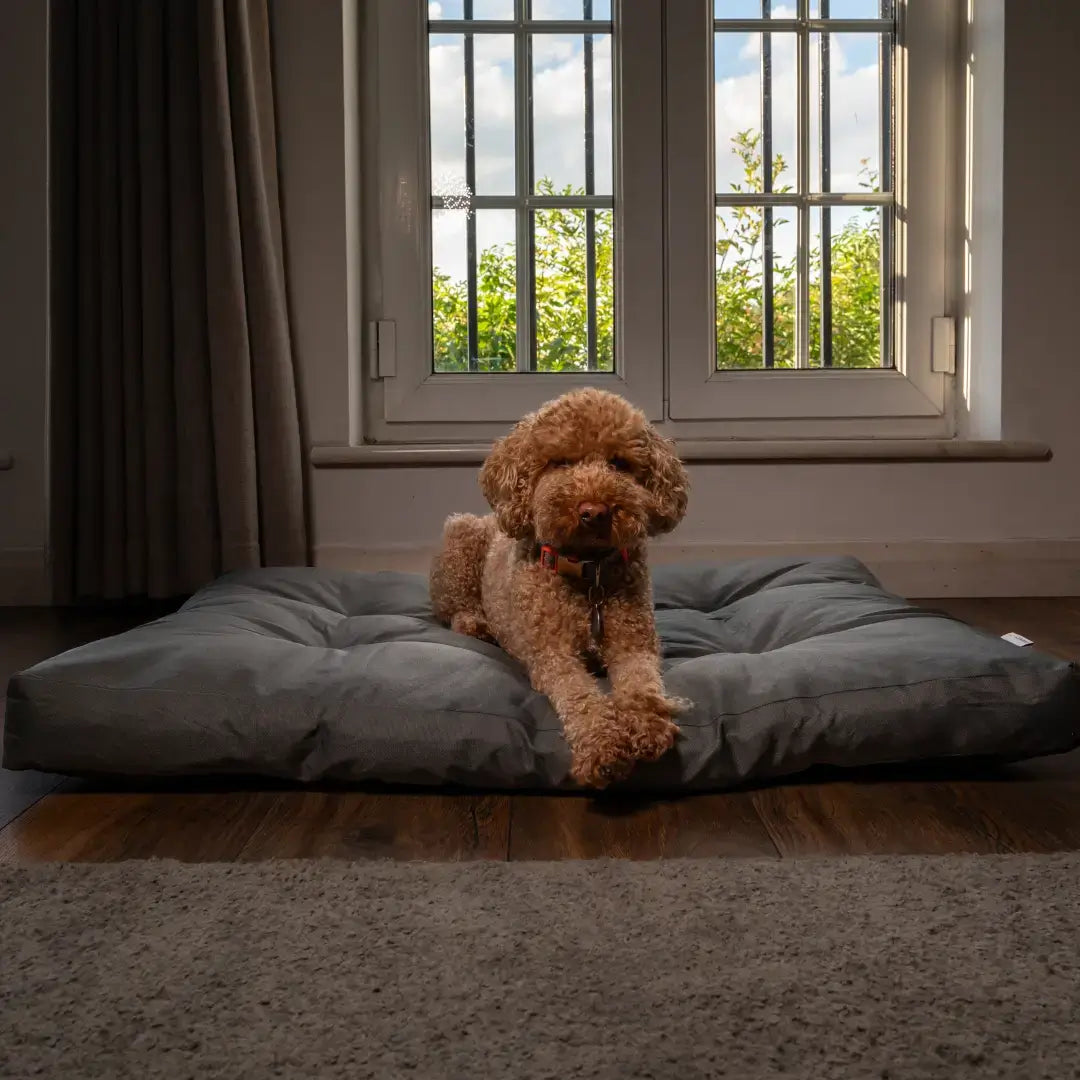 waterproof dog bed - Pawfecthome