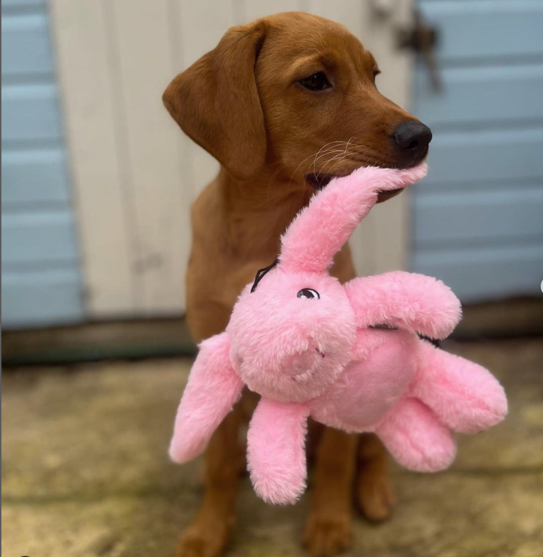 Rabbit Toy Hare Today Gone Tomorrow Pawfecthome