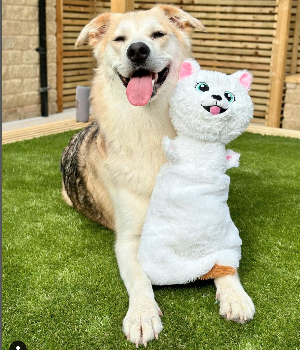 Plush Dog Toy