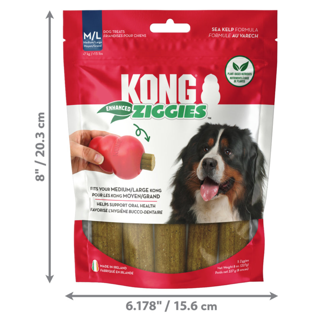 KONG Ziggies