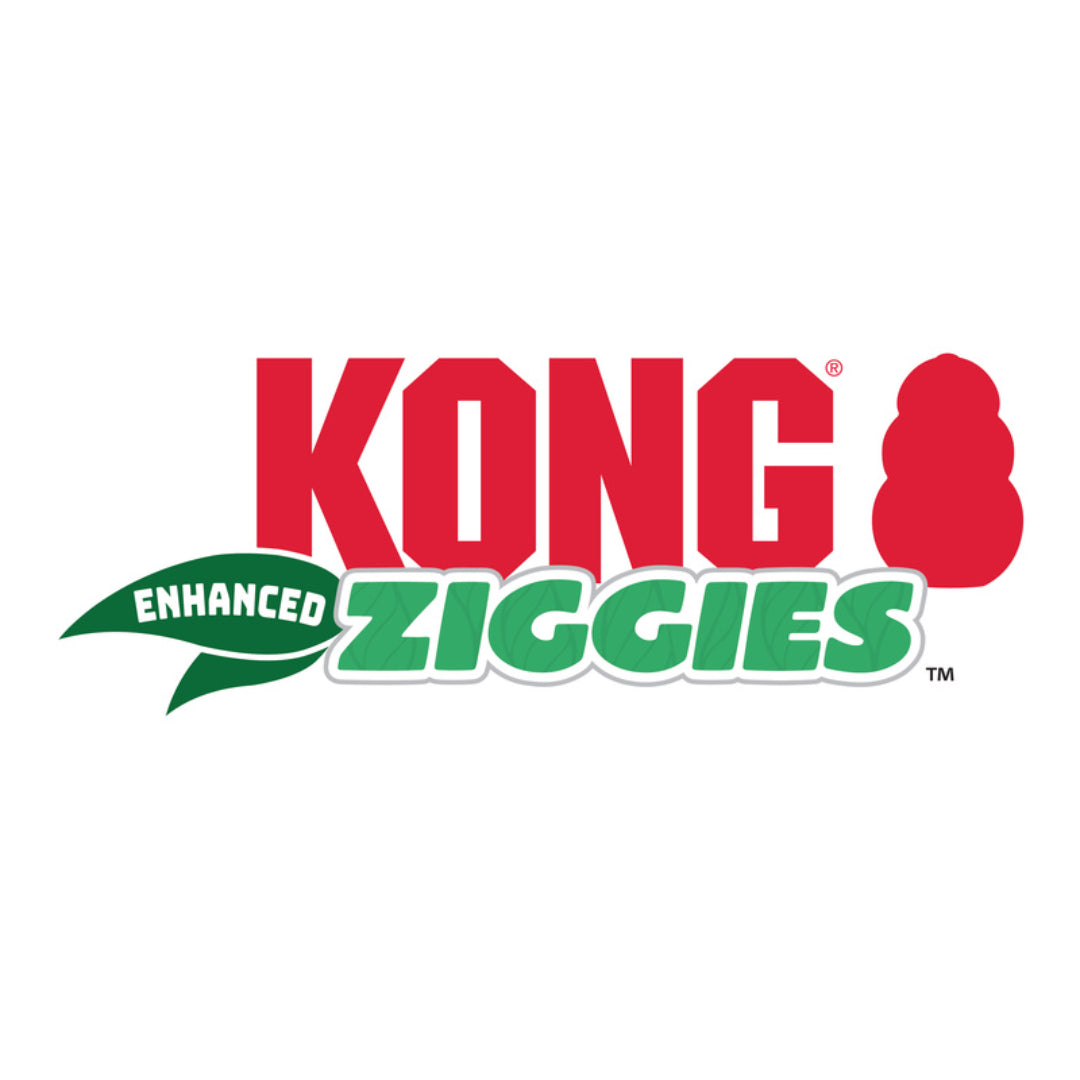 KONG Ziggies