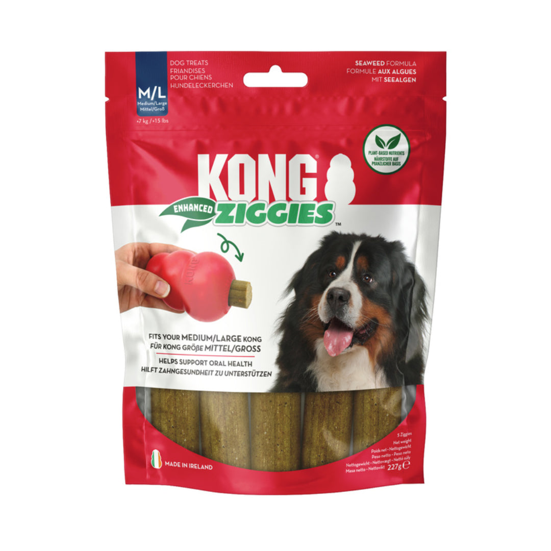 KONG Ziggies