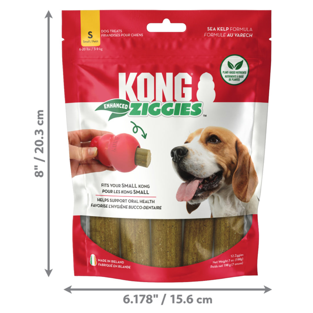 KONG Ziggies