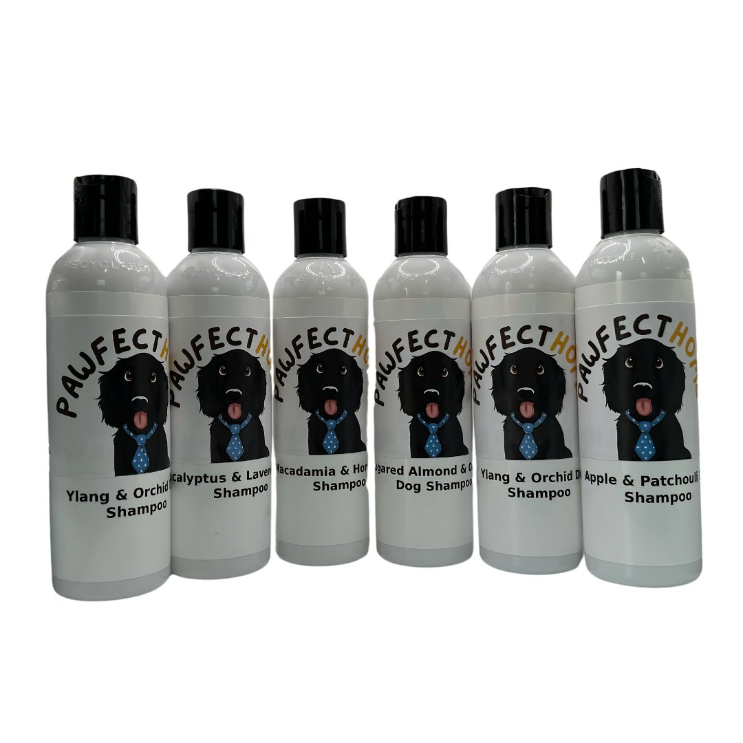 Dog Bath Time Shampoo-Pawfecthome