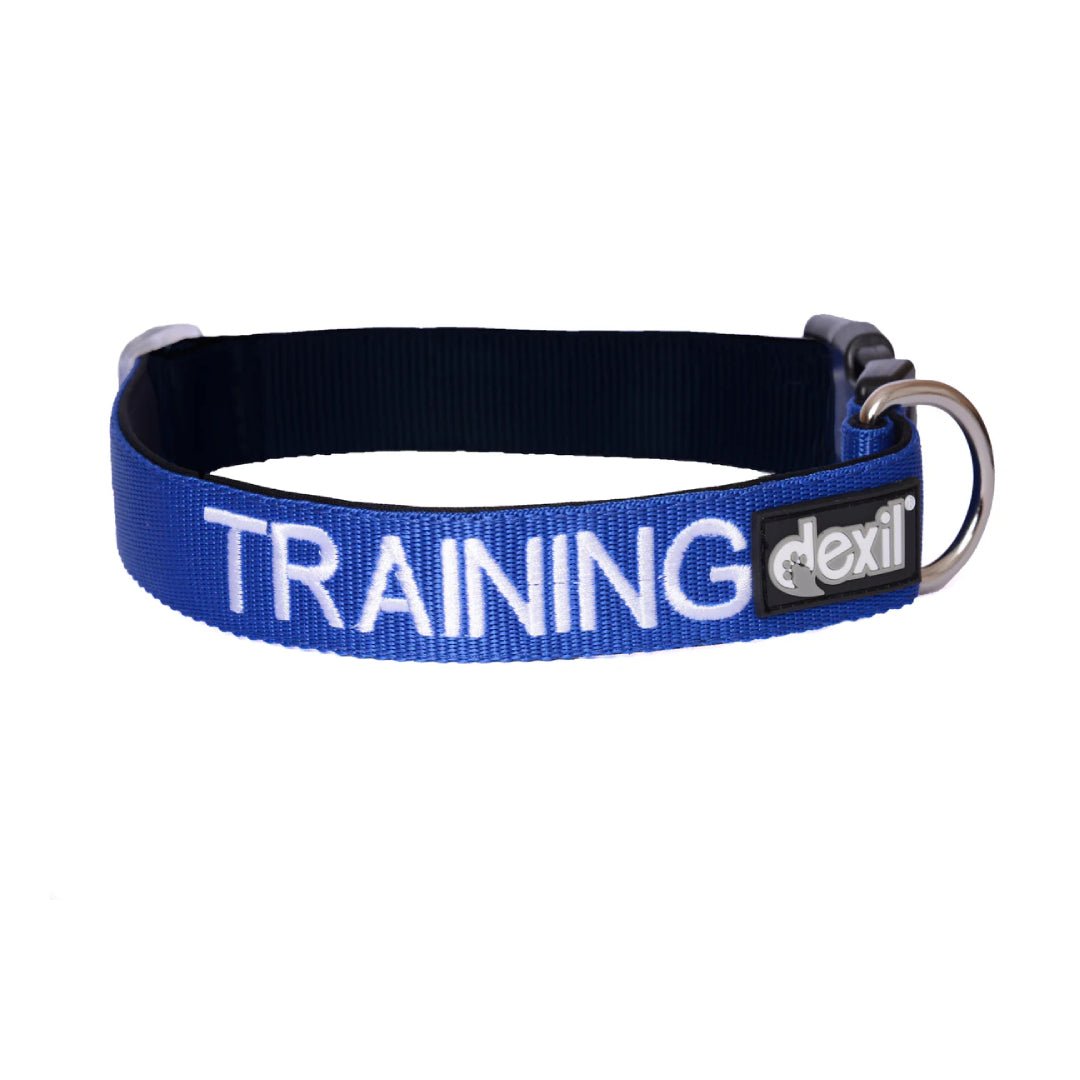 training dog collar