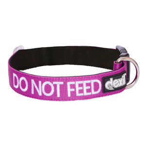 safety dog collar