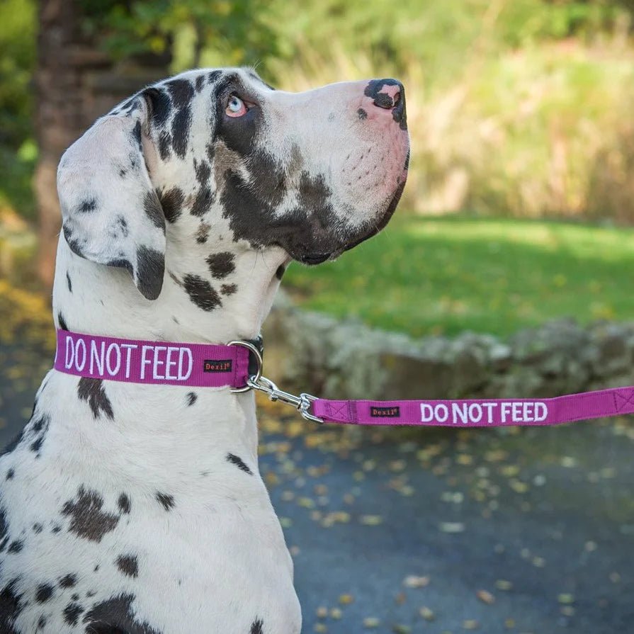 Embroidered Do Not Feed Dog Collar Pawfecthome