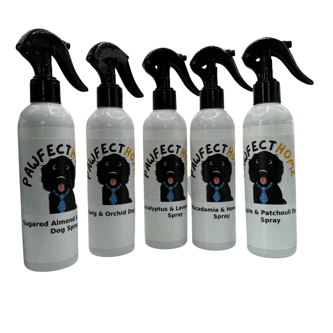 Dog Fragrance spray-Pawfecthome