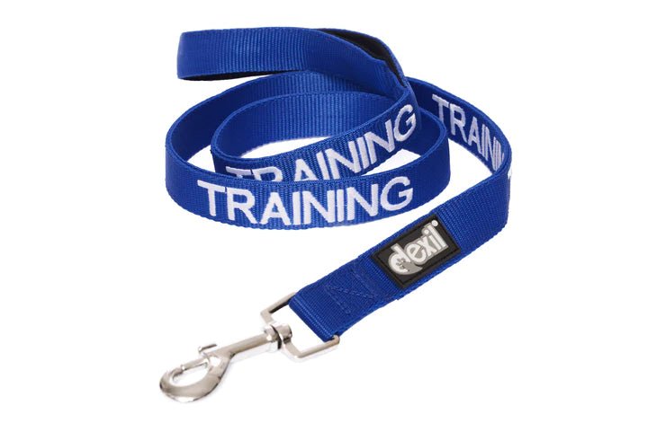 Dog Lead Blue 'Training'| Dexil-Pawfecthome