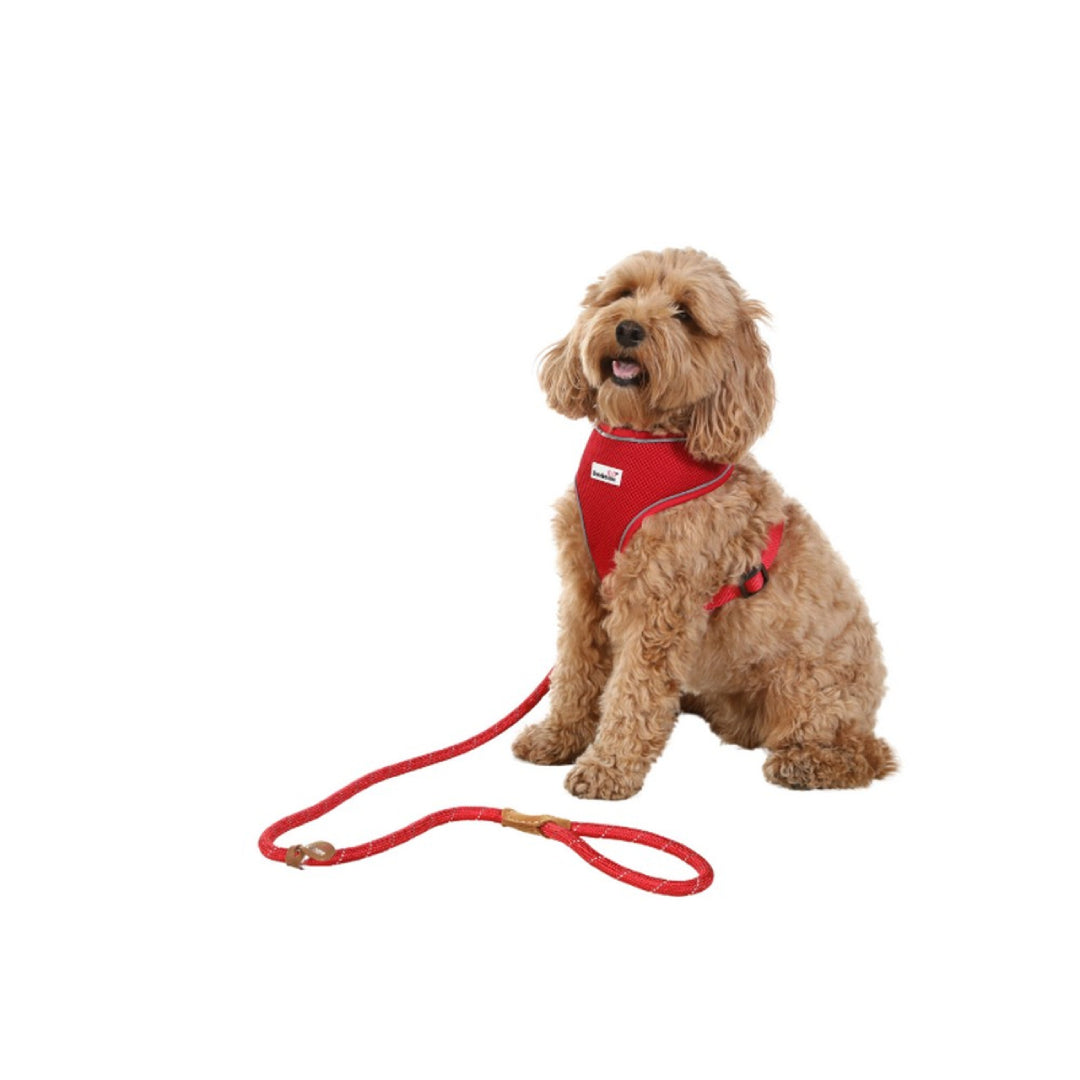 Rope Dog Lead