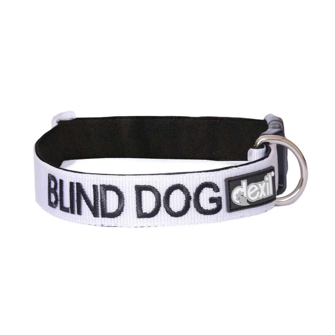 Embroidered "Blind" Dog Collar in white - Pawfecthome