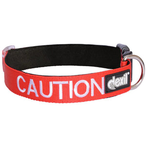 Embroidered 'Caution' Dog Collar in Red | Dexil-Pawfecthome