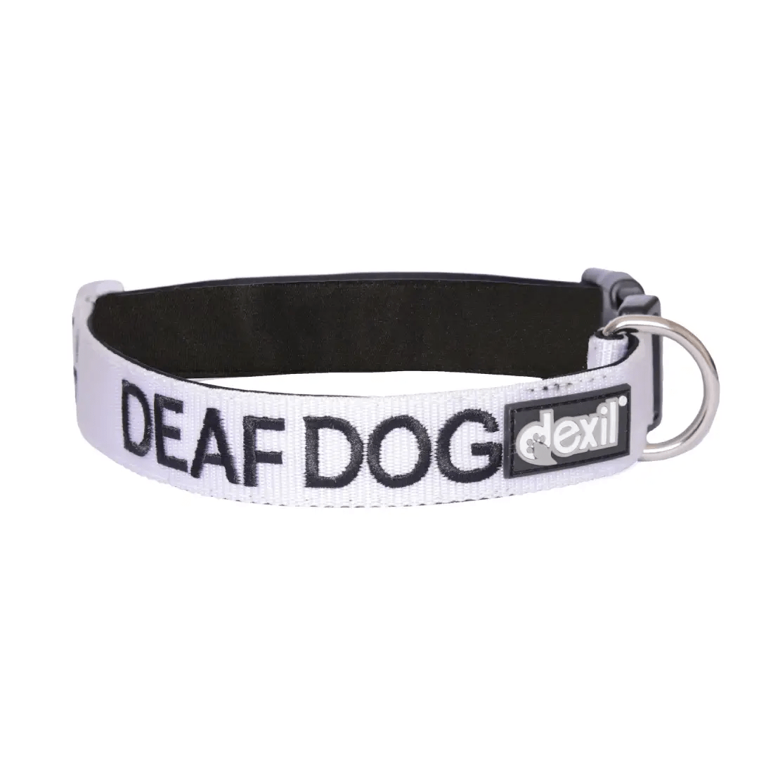 Deaf Dog Safety Collar - Special Needs Dog Accessory