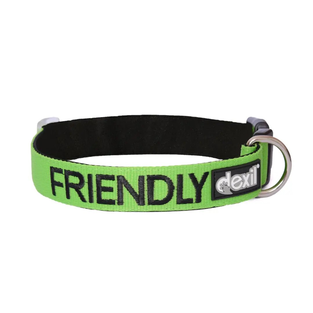 Embroidered 'Friendly' Green Dog Collar | Dexil-Pawfecthome