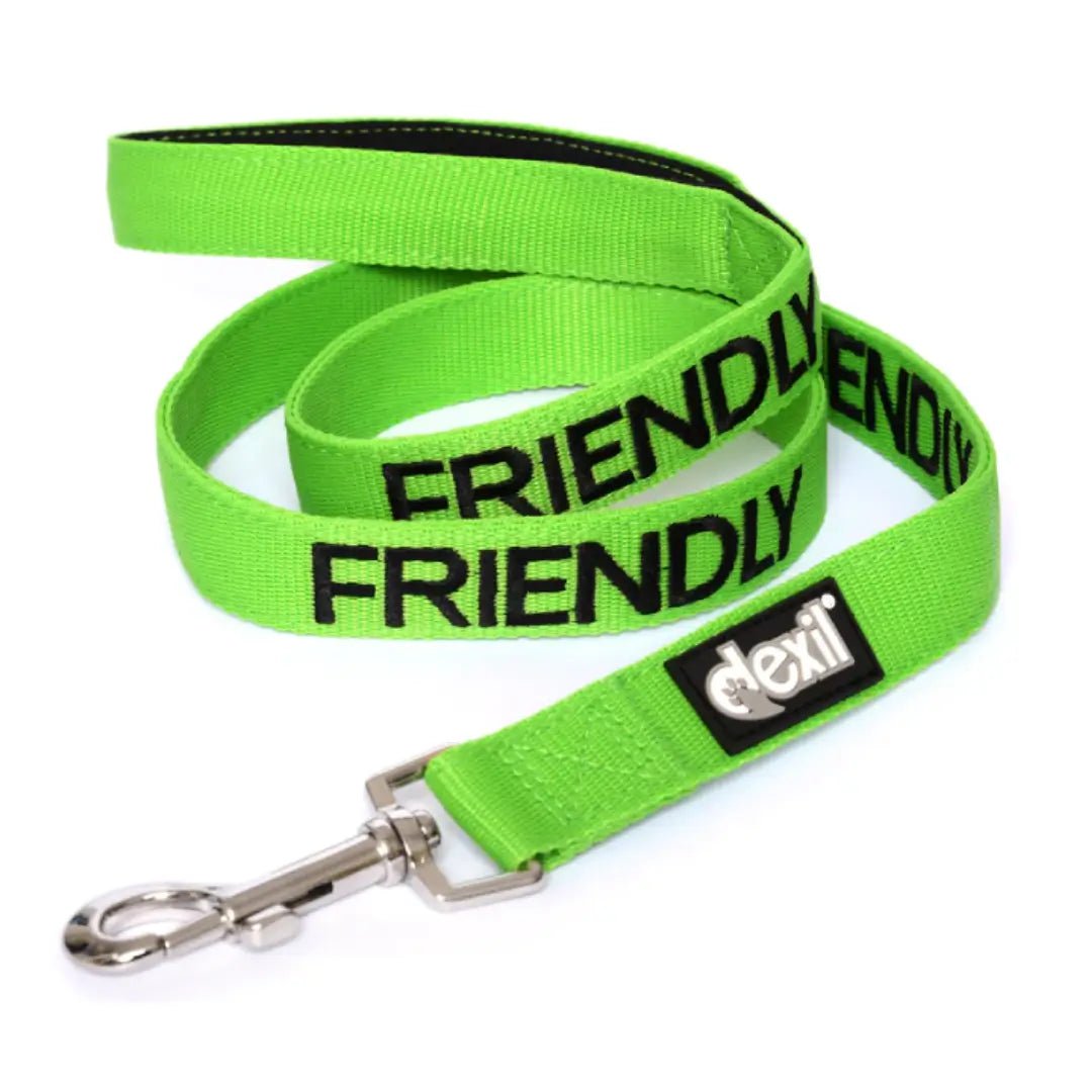 Embroidered 'Friendly' Green Dog Lead | Dexil-Pawfecthome