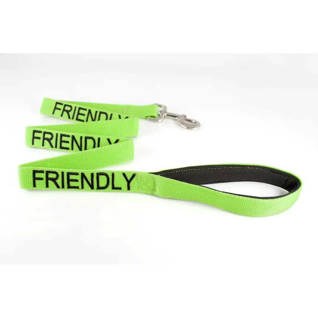 Embroidered 'Friendly' Green Dog Lead | Dexil-Pawfecthome