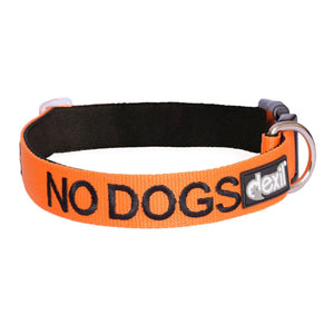 Embroidered "No Dogs" Orange Dog Collar | Dexil-Pawfecthome