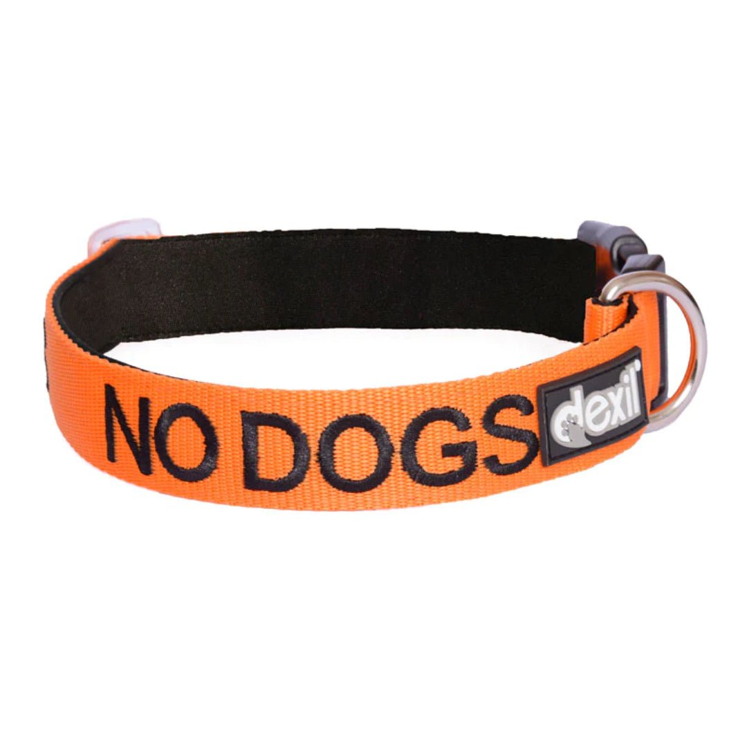 Embroidered "No Dogs" Orange Dog Collar | Dexil-Pawfecthome