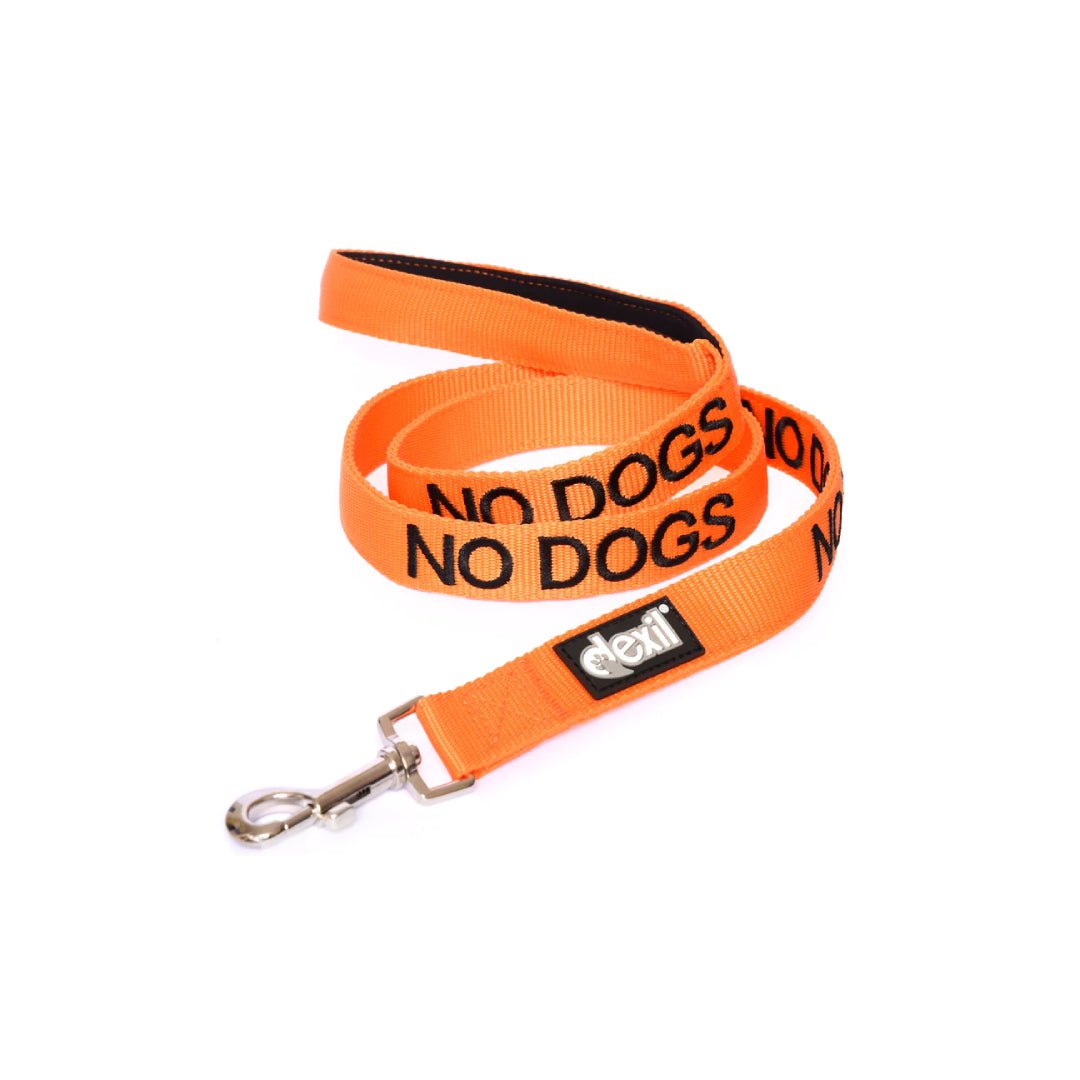 Embroidered "No Dogs" Orange Dog Lead | Dexil-Pawfecthome