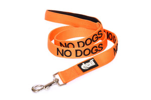 Embroidered "No Dogs" Orange Dog Lead | Dexil-Pawfecthome