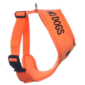 Embroidered "No Dogs" Orange Dog Vest - Pawfecthome