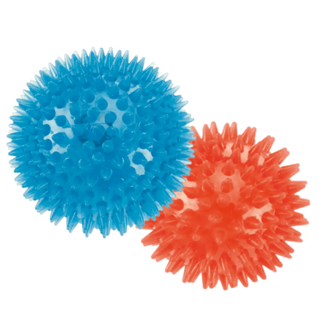 Dog Squeaky Ball Toy