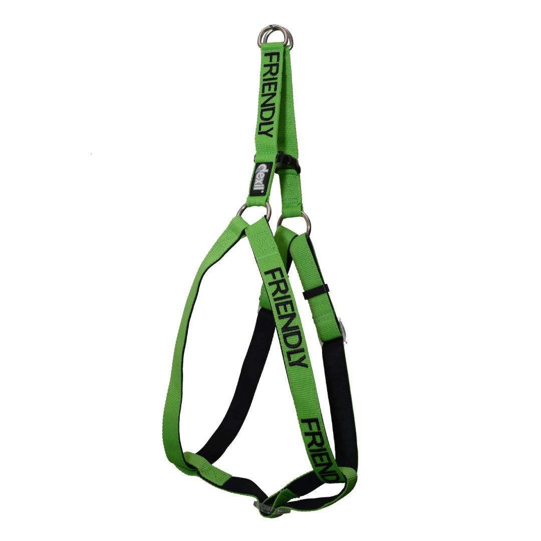 Friendly Harness in Green | Dexil-Pawfecthome