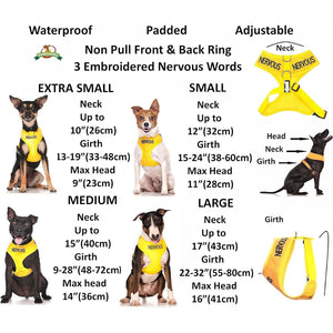 Nervous Dog Vest in Yellow | Dexil-Pawfecthome