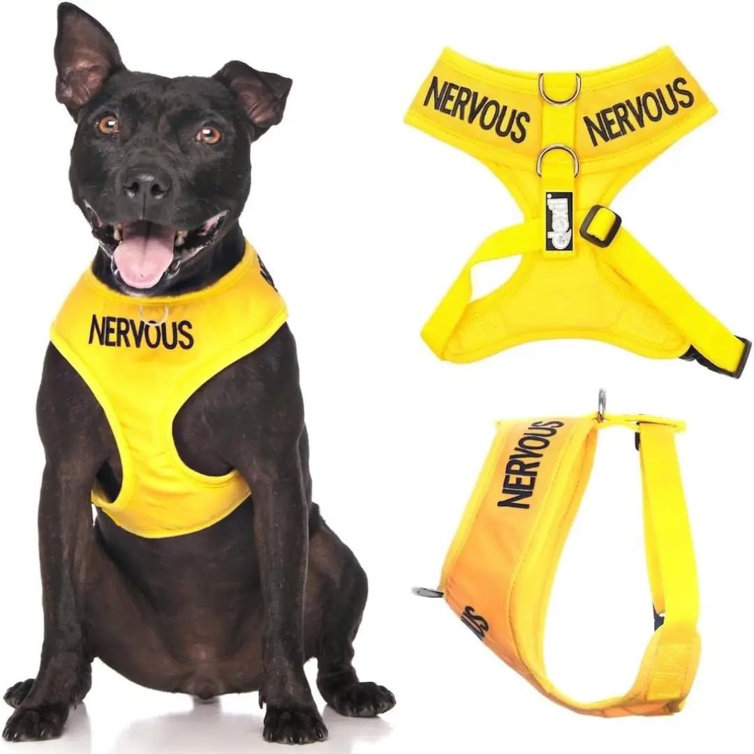 Nervous Dog Vest in Yellow | Dexil-Pawfecthome