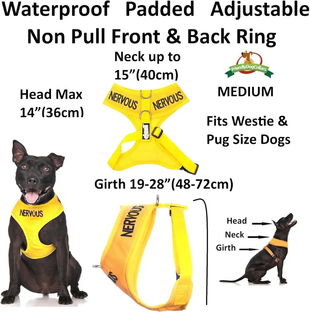 Nervous Dog Vest in Yellow | Dexil-Pawfecthome