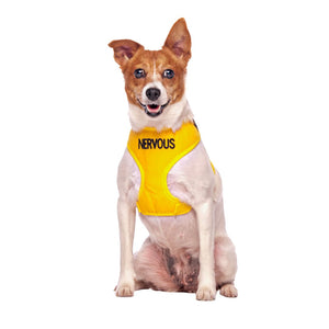 Nervous Dog Vest in Yellow | Dexil-Pawfecthome