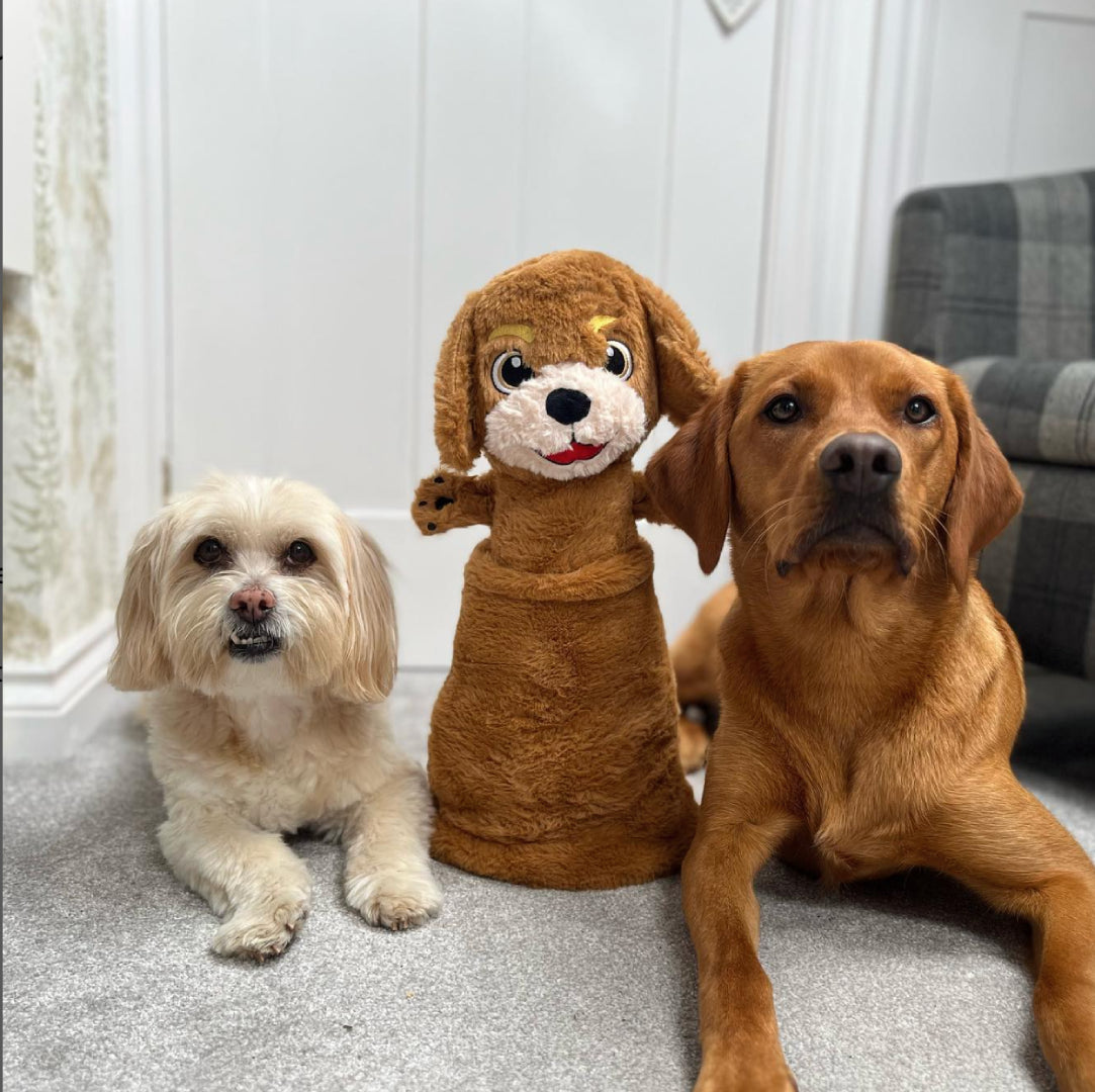 plush dog toys