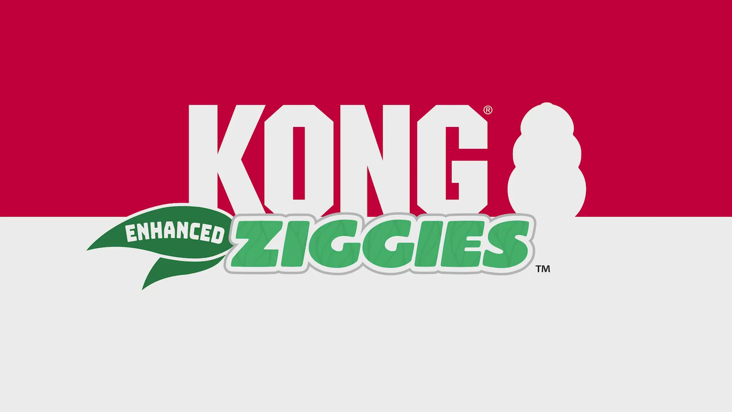 Kong Ziggies