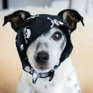 Stylish Dog Bandanas - Black Skulls | Pet Pouch Boutique-Pawfecthome