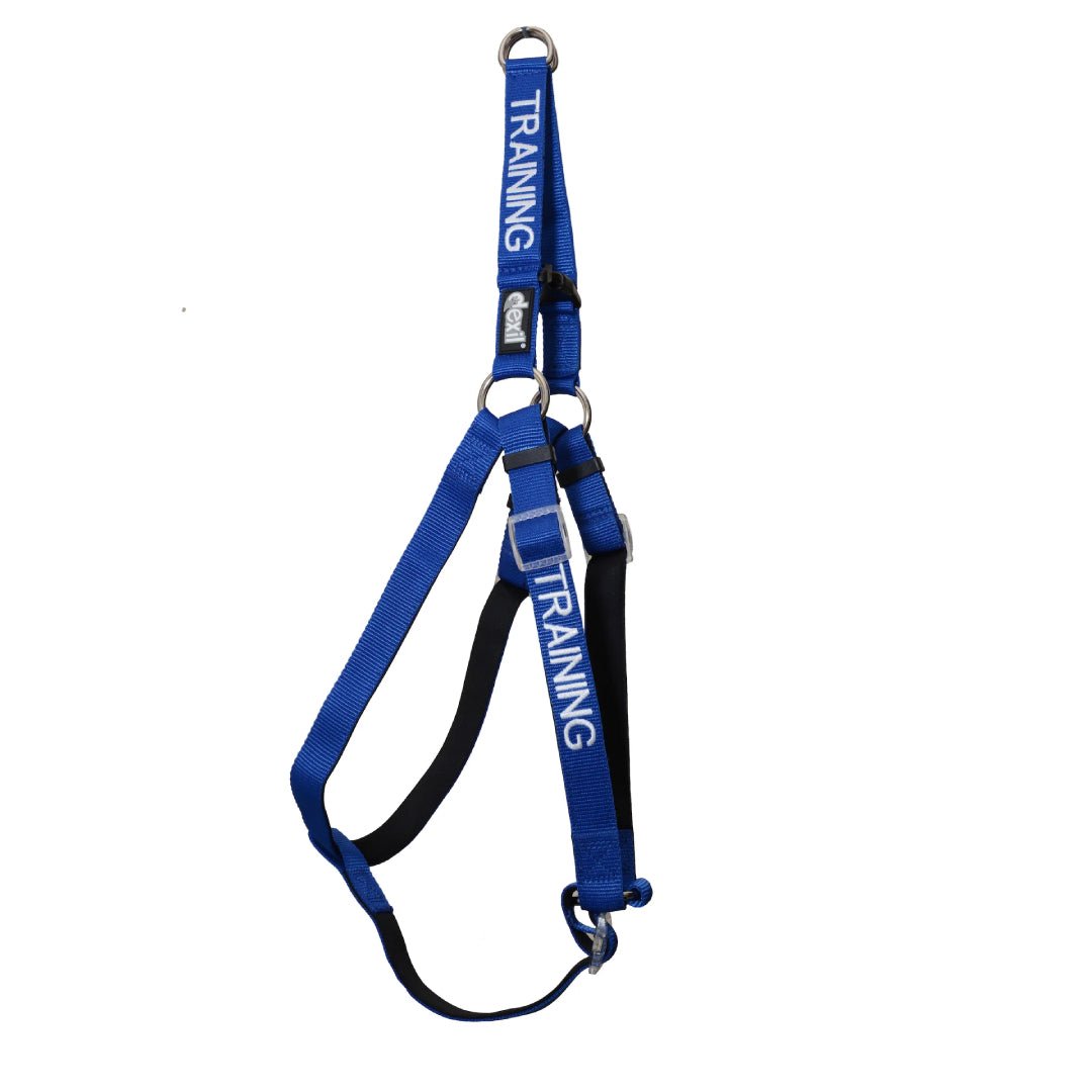 Training Strap Harness | Dexil-Pawfecthome