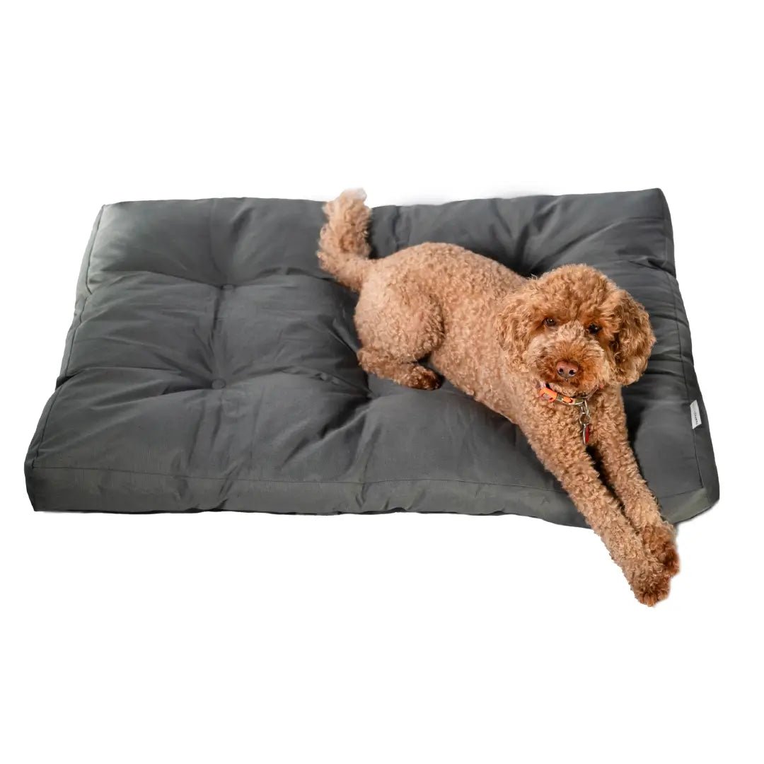 Waterproof Washable Dog Bed