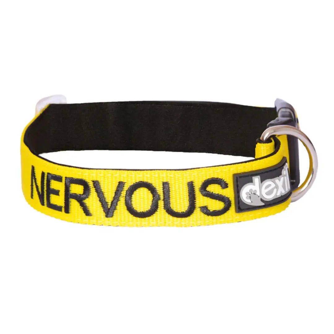 Nervous Dog Collar